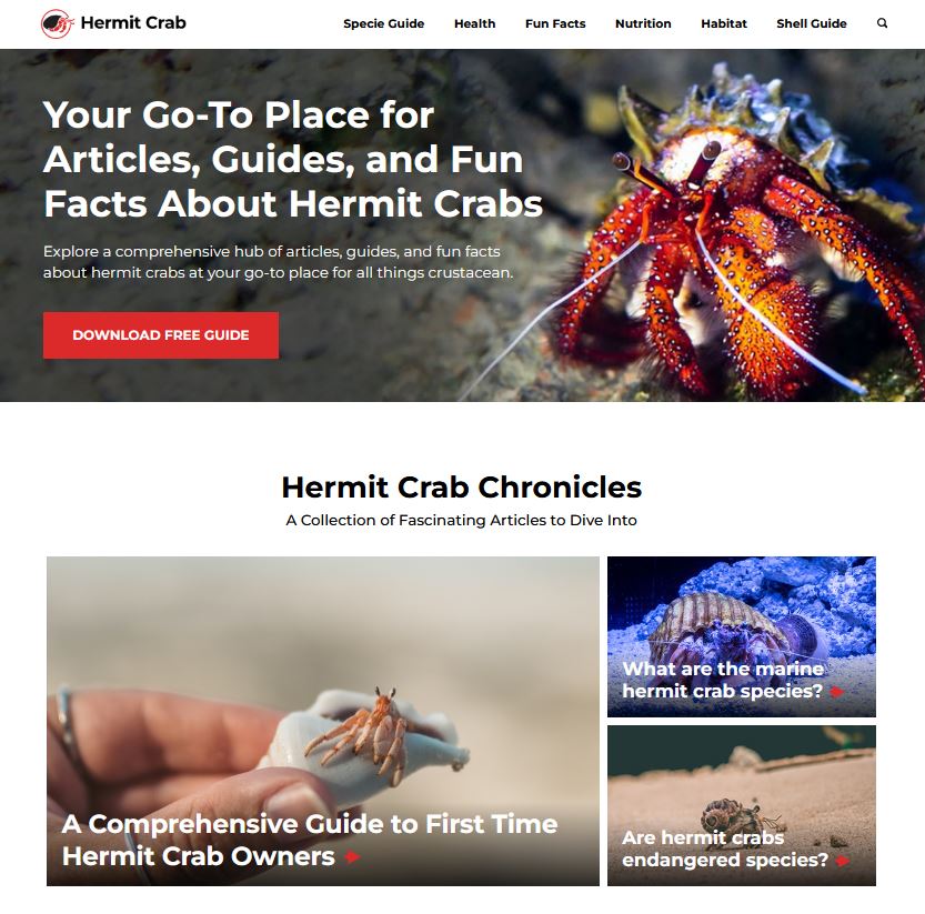 The Hermit Crab Life Cycle Hermit Crab